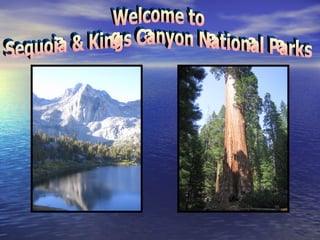 Welcome to  Sequoia & Kings Canyon National Parks 