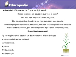 Atividade 5: Educoquiz 1 – O que você já sabe?
Vamos conhecer um pouco do que você já sabe?
Para isso, você responderá a três perguntas.
Elas nos ajudarão a descobrir o que você sabe sobre esse assunto.
Leia cada pergunta com atenção e responda, mas sem se preocupar se suas respostas
estarão certas ou erradas, pois o mais importante aqui é saber como você pensa.
Boa atividade para você!
1) Na imagem, temos retratado um dos movimentos do ciclo biológico.
A opção que indica a correta fase é:
A) Crescimento.
B) Morte.
C) Nascimento.
D) Reprodução.
Fonte: Openclipart
 