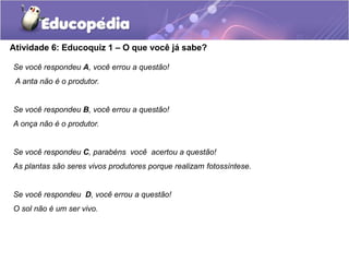Atividade 6: Educoquiz 1 – O que você já sabe?
Se você respondeu A, você errou a questão!
A anta não é o produtor.
Se você respondeu B, você errou a questão!
A onça não é o produtor.
Se você respondeu C, parabéns você acertou a questão!
As plantas são seres vivos produtores porque realizam fotossíntese.
Se você respondeu D, você errou a questão!
O sol não é um ser vivo.
 