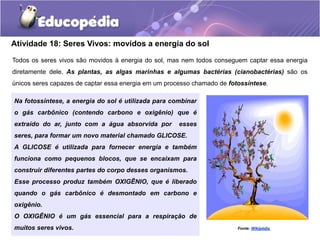 Atividade 18: Seres Vivos: movidos a energia do sol
Todos os seres vivos são movidos à energia do sol, mas nem todos conseguem captar essa energia
diretamente dele. As plantas, as algas marinhas e algumas bactérias (cianobactérias) são os
únicos seres capazes de captar essa energia em um processo chamado de fotossíntese.
Na fotossíntese, a energia do sol é utilizada para combinar
o gás carbônico (contendo carbono e oxigênio) que é
extraído do ar, junto com a água absorvida por esses
seres, para formar um novo material chamado GLICOSE.
A GLICOSE é utilizada para fornecer energia e também
funciona como pequenos blocos, que se encaixam para
construir diferentes partes do corpo desses organismos.
Esse processo produz também OXIGÊNIO, que é liberado
quando o gás carbônico é desmontado em carbono e
oxigênio.
O OXIGÊNIO é um gás essencial para a respiração de
muitos seres vivos. Fonte: Wikipédia
 