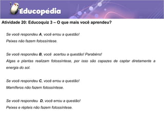 Atividade 20: Educoquiz 3 – O que mais você aprendeu?
Se você respondeu A, você errou a questão!
Peixes não fazem fotossíntese.
Se você respondeu B, você acertou a questão! Parabéns!
Algas e plantas realizam fotossíntese, por isso são capazes de captar diretamente a
energia do sol.
Se você respondeu C, você errou a questão!
Mamíferos não fazem fotossíntese.
Se você respondeu D, você errou a questão!
Peixes e répteis não fazem fotossíntese.
 