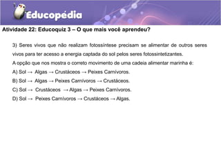 Atividade 22: Educoquiz 3 – O que mais você aprendeu?
3) Seres vivos que não realizam fotossíntese precisam se alimentar de outros seres
vivos para ter acesso a energia captada do sol pelos seres fotossintetizantes.
A opção que nos mostra o correto movimento de uma cadeia alimentar marinha é:
A) Sol → Algas → Crustáceos → Peixes Carnívoros.
B) Sol → Algas → Peixes Carnívoros → Crustáceos.
C) Sol → Crustáceos → Algas → Peixes Carnívoros.
D) Sol → Peixes Carnívoros → Crustáceos → Algas.
 