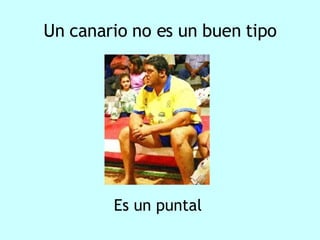 Un canario no es un buen tipo Es un puntal 