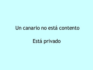 Un canario no está contento Está privado 