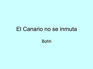 El Canario no se inmuta Bohh 