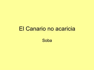 El Canario no acaricia Soba 