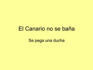 El Canario no se baña Se pega una ducha 