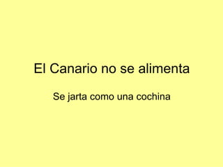 El Canario no se alimenta Se jarta como una cochina 