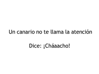 Un canario no te llama la atención Dice: ¡Cháaacho! 
