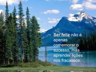 Ser feliz   não é apenas comemorar o sucesso, mas aprender lições nos fracassos.   