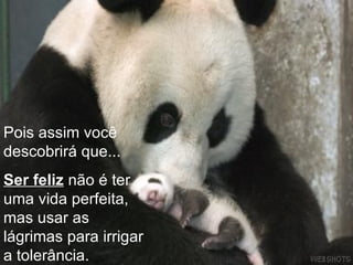 Pois assim você descobrirá que... Ser feliz  não é ter  uma vida perfeita, mas usar as lágrimas para irrigar a tolerância. 