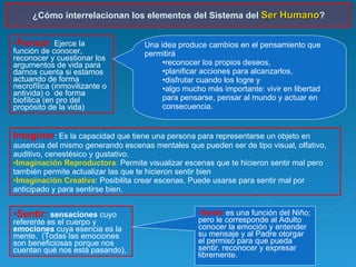 Pensar :  Ejerce la función de conocer, reconocer y cuestionar los argumentos de vida para darnos cuenta si estamos actuando de forma necrofílica (inmovilizante o antivida) o  de forma biofílica (en pro del propósito de la vida) Imaginar : Es la capacidad que tiene una persona para representarse un objeto en ausencia del mismo generando escenas mentales que pueden ser de tipo visual, olfativo, auditivo, cenestésico y gustativo. Imaginación Reproductora :  Permite visualizar escenas que te hicieron sentir mal pero también permite actualizar las que te hicieron sentir bien Imaginación Creativa : Posibilita crear escenas. Puede usarse para sentir mal por anticipado y para sentirse bien. Sentir:   sensaciones  cuyo referente es el cuerpo y  emociones  cuya esencia es la mente.  (Todas las emociones son beneficiosas porque nos cuentan qué nos está pasando),  Sentir  es una función del Niño; pero le corresponde al Adulto conocer la emoción y entender su mensaje y al Padre otorgar el permiso para que pueda sentir, reconocer y expresar libremente. ¿Cómo interrelacionan los elementos del Sistema del  Ser Humano ? Una idea produce cambios en el pensamiento que permitirá  reconocer los propios deseos,  planificar acciones para alcanzarlos,  disfrutar cuando los logre y  algo mucho más importante: vivir en libertad para pensarse, pensar al mundo y actuar en consecuencia. 