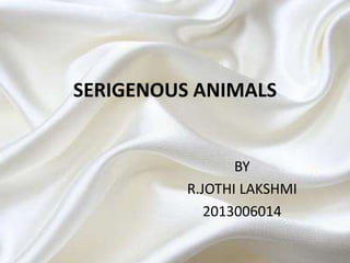 SERIGENOUS ANIMALS
BY
R.JOTHI LAKSHMI
2013006014
 
