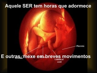 Aquele SER tem horas que adormece E outras, mexe em breves movimentos 