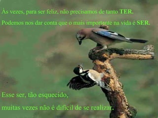 Às vezes, para ser feliz, não precisamos de tanto  TER. Podemos nos dar conta que o mais importante na vida é  SER. Esse ser, tão esquecido,  muitas vezes não é difícil de se realizar . . 