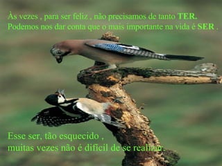Às vezes , para ser feliz , não precisamos de tanto  TER. Podemos nos dar conta que o mais importante na vida é  SER  . Esse ser, tão esquecido ,  muitas vezes não é difícil de se realizar. 