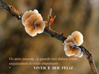 Os anos passam , e quando nos damos conta , esquecemos do mais importante : VIVER  E  SER  FELIZ  . 