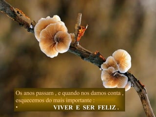 Os anos passam , e quando nos damos conta , esquecemos do mais importante : VIVER  E  SER  FELIZ  . 