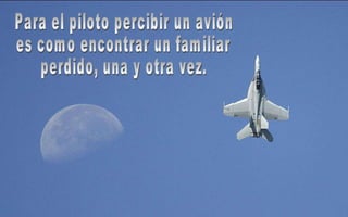 Para el piloto percibir un avión es como encontrar un familiar perdido, una y otra vez. 