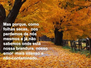 Mas porque, como
folhas secas, nos
perdemos de nós
mesmos e já não
sabemos onde está
nossa brandura, nosso
amor mais intenso e
não-contaminado...
 