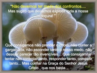 "Não devemos ter medo dos confrontos....
 Mas sugiro que deixemos explodir toda a nossa
                   doçura! "




Que consigamos não prender o choro, não conter a
gargalhada, não esconder tanto o nosso medo, não
 desejar parecer tão invencíveis... Que consigamos
tentar não controlar tanto, responder tanto, competir
   tanto... Mas confiar na Graça do Senhor Jesus
               Cristo , que nos basta...
 