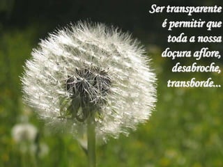 Ser transparente
   é permitir que
    toda a nossa
  doçura aflore,
      desabroche,
    transborde...
 