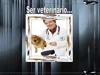 Ser veterinário... 