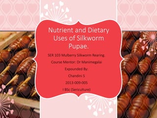 Nutrient and Dietary
Uses of Silkworm
Pupae.
SER 103 Mulberry Silkworm Rearing.
Course Mentor: Dr Manimegalai
Expounded By:
Chandini S
2013-009-005
I BSc (Sericulture)
 