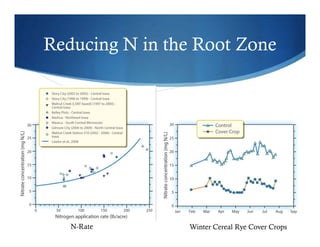 Reducing N in the Root Zone
N-Rate Winter Cereal Rye Cover Crops
 