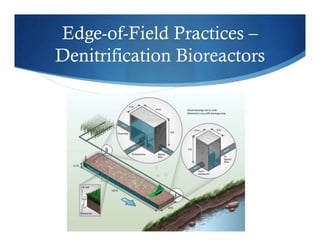 Edge-of-Field Practices –
Denitrification Bioreactors
 