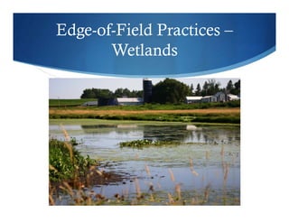 Edge-of-Field Practices –
Wetlands
 