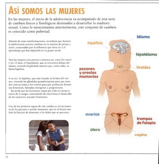 ASÍ SOMOS LAS MUJERES
 En las mujeres, el inicio de la adolescencia va acompañado de una serie
 de cambios físicos y fisiológicos destinados a desarrollar la madurez
 sexual. Como lo mencionamos anteriormente, este conjunto de cambios
 es conocido como pubertad.
                                                                                   tálamo
 Además de estas transformaciones, recordarás que durante
 la adolescencia ocurren cambios en tu manera de pensar y
                                                                       hipófisis
 sentir, ocasionados por la influencia que tiene en ti el
     aprendizaje que has adquirido en tu grupo social.
                                                                                   hipotálamo

     Para las mujeres este proceso comienza asi: entre los nueve
     y los 13 años, el hipotálamo, que se encuentra debajo del
     tálamo, estimula la glándula maestra que, como sabes, se                      tiroides
     llama hipófisis.                                               pezones
                                                                    y areolas
                                                                    mamarias
     A su vez, la hipófisis, que está situada en la base del crá
     neo, estimula las glándulas gonadotropinas para que éstas
     den instrucciones a los ovarios para que produzcan hormo
     nas femeninas, llamadas estrógenos y progesterona.
       Recuerda que las hormonas viajan por todo el cuerpo a
     través de la sangre, estimulando de esta forma el desarrollo
     de los caracteres sexuales femeninos.



     Uno de los primeros signos de este cambio es el crecimien
     to de los pezones y areolas mamarias, que en el futuro ten
     drán la función de alimentar a los bebés que se procreen.
                                                                       ovarios
                                                                                    trompas
                                                                                    de Falopio

                                                                         útero
                                                                                   vagina




12
 