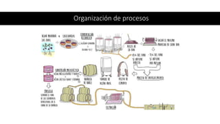 Organización de procesos
 