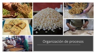 Organización de procesos
 