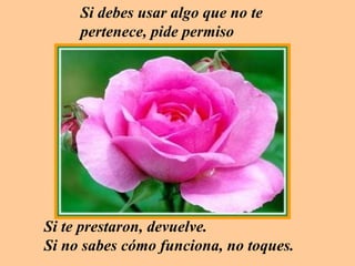 Si debes usar algo que no te pertenece, pide permiso Si te prestaron, devuelve.  Si no sabes cómo funciona, no toques. 