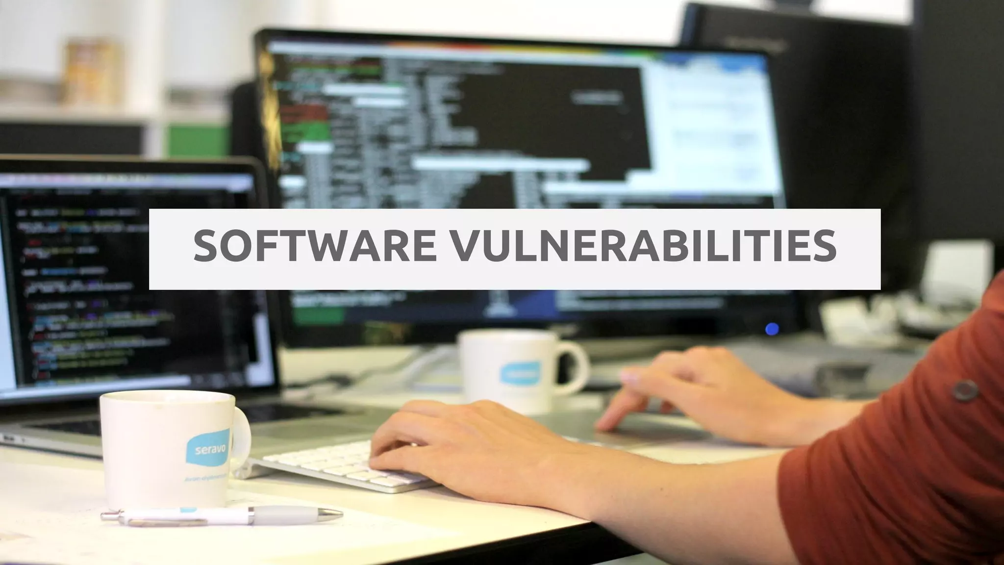 SOFTWARE VULNERABILITIES
 