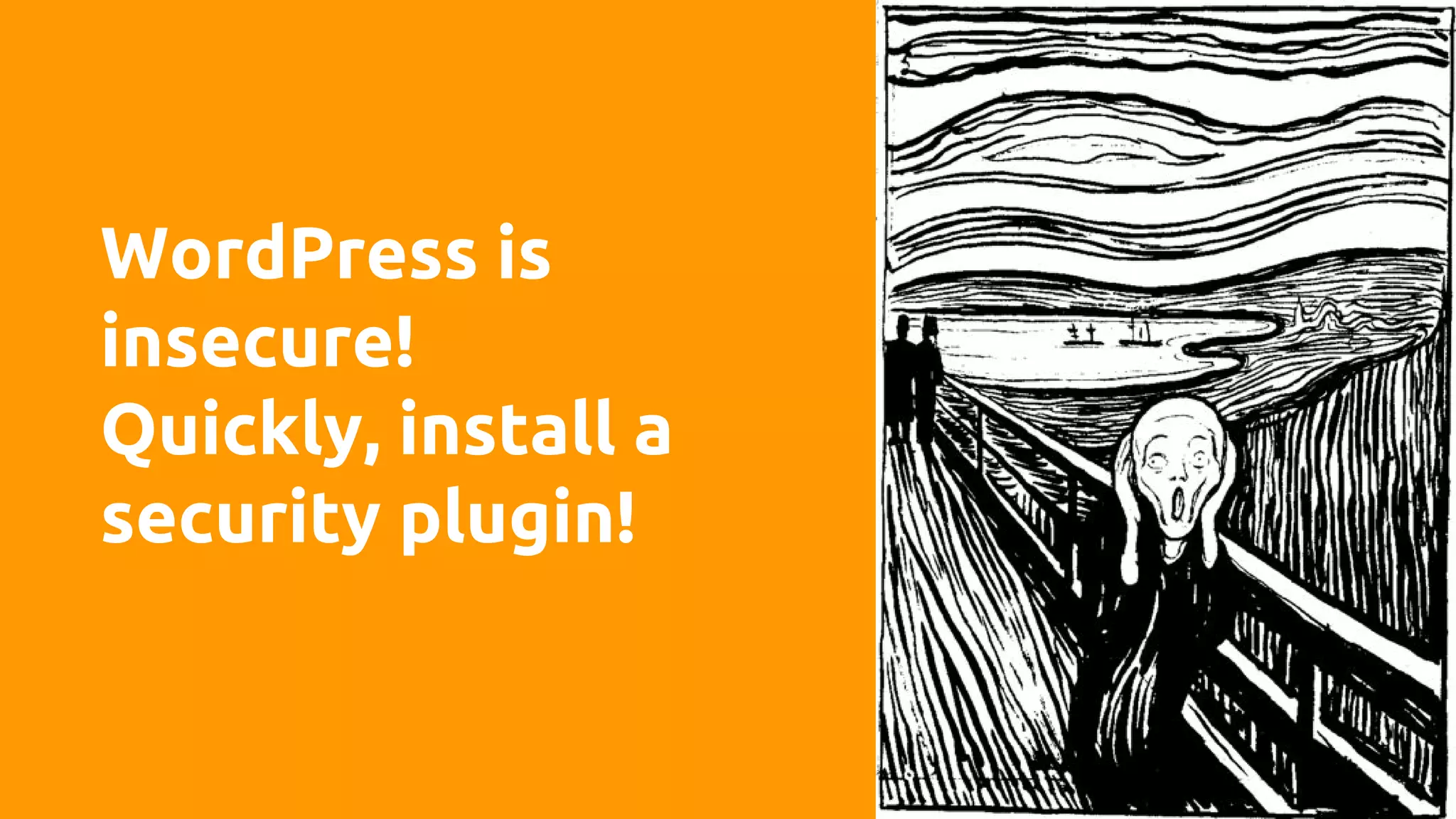 WordPress is
insecure!
Quickly, install a
security plugin!
 