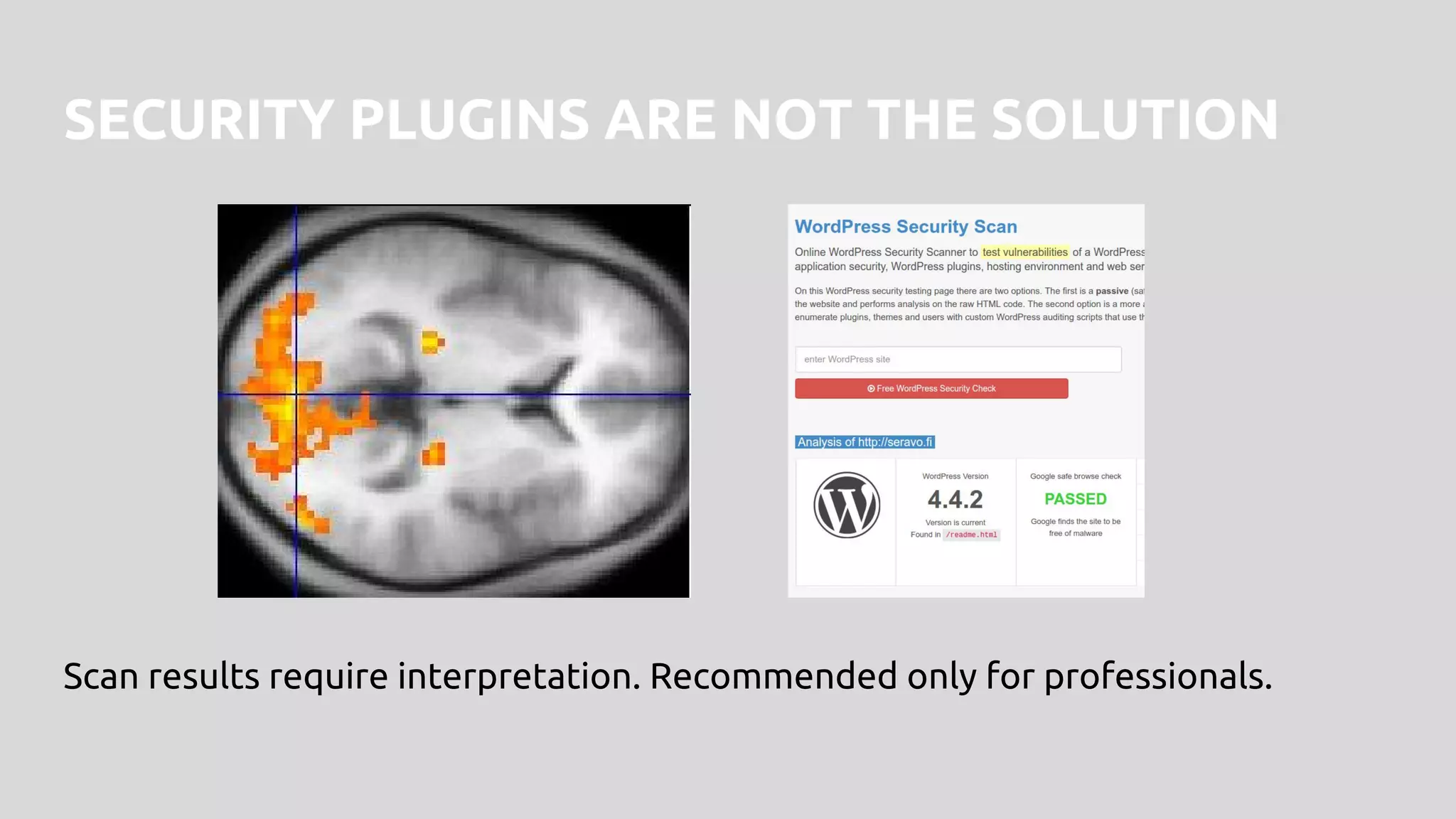 SECURITY PLUGINS ARE NOT THE SOLUTION
Scan results require interpretation. Recommended only for professionals.
 