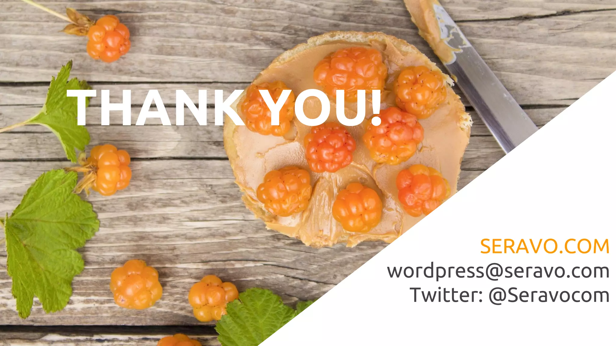 THANK YOU!
SERAVO.COM
wordpress@seravo.com
Twitter: @Seravocom
 