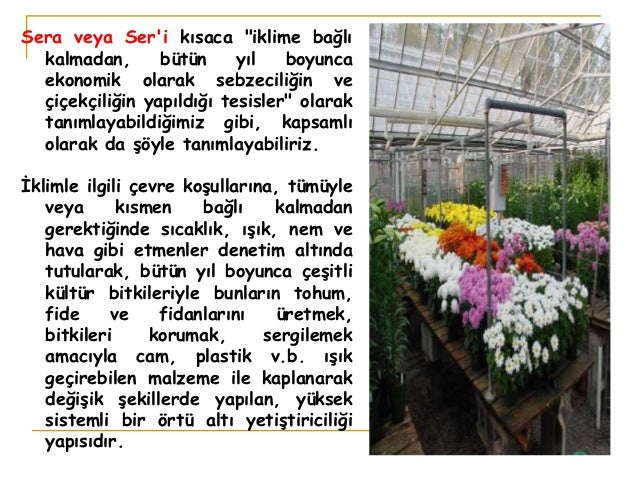 Sera Yapim Teknigi Hazirlayan Urun Planlama Sorumlusu Hakan Tanriverdi Ppt Video Online Indir