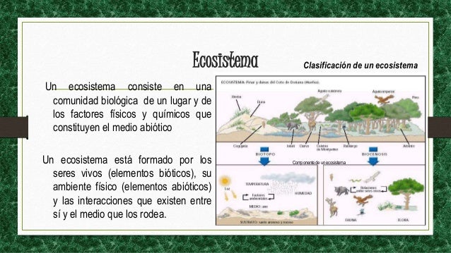 Ser bachiller ciencias naturales