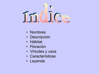 Nombres Descripción Hábitat Floración Virtudes y usos Características Leyenda Indice 