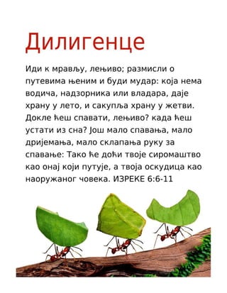Serbian Cyrillic Motivational Diligence Tract.pdf