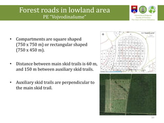 • Compartments are square shaped
(750 x 750 m) or rectangular shaped
(750 x 450 m).
• Distance between main skid trails is 60 m,
and 150 m between auxiliary skid trails.
• Auxiliary skid trails are perpendicular to
the main skid trail.
Forest roads in lowland area
PE “Vojvodinašume”
University of Belgrade
Faculty of Forestry
The Chair of Forest Utilization
10
 