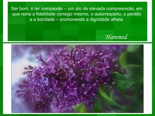 Ser bom, é ter compaixão – um ato de elevada compreensão, em
que reina a fidelidade consigo mesmo, o autorrespeito, o perdão
        e a bondade – promovendo a dignidade alheia.


                                             Hammed
 