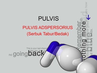 PULVIS
PULVIS ADSPERSORIUS
(Serbuk Tabur/Bedak)

 