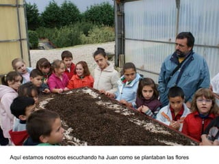 Aquí estamos nosotros escuchando ha Juan como se plantaban las flores