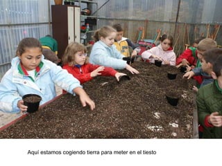 Aquí estamos cogiendo tierra para meter en el tiesto