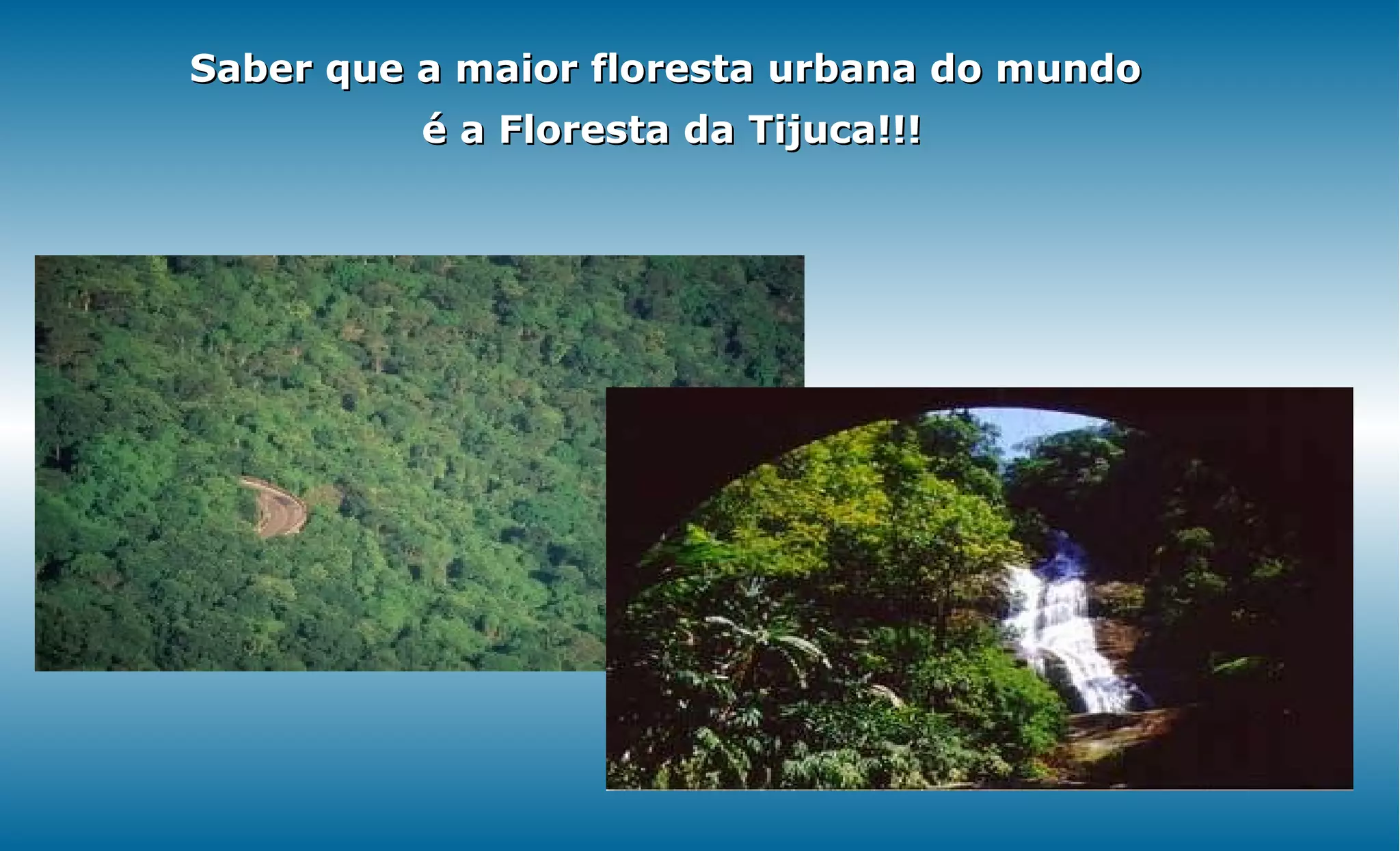 Saber que a maior floresta urbana do mundo
          é a Floresta da Tijuca!!!
 
