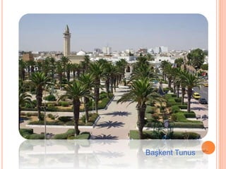 Başkent Tunus 
 